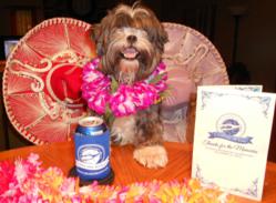 Cruise Dreams Photo Contest Winner